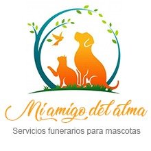 Mi Amigo del Alma