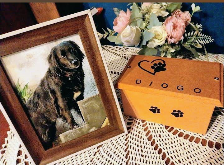 Servicios funerarios para mascotas en argentina